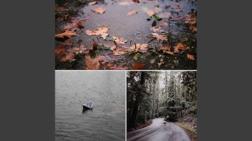 Modish Backdrops for Smooth Days