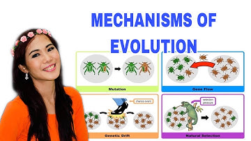 MECHANISMS OF EVOLUTION