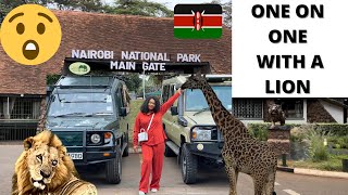 NAIROBI NATIONAL PARK: African Safaris Game Drive #kenyasafaris