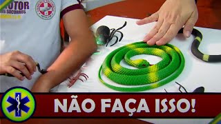 Acidentes com SERPENTES e outros ANIMAIS PEÇONHENTOS o que fazer? | Primeiros Socorros