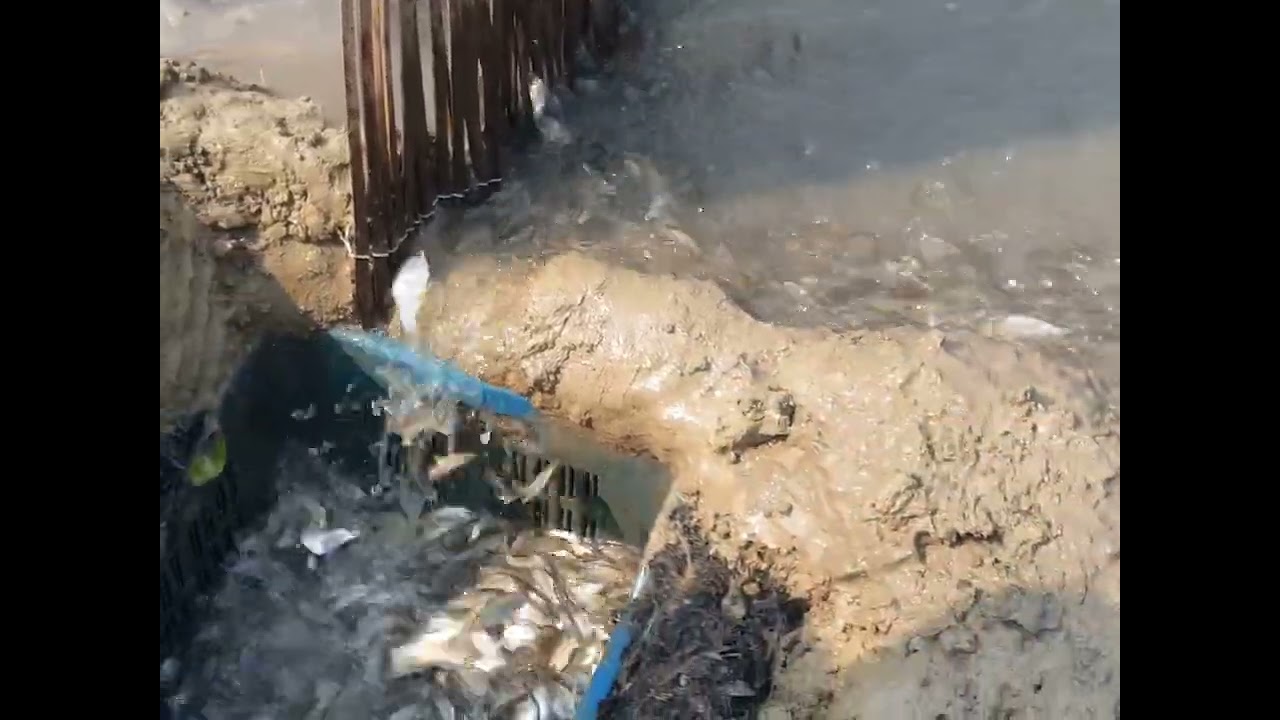 Fantastic fishing scene in a charming rural setting