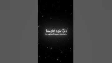إن الذين قالوا ربنا الله -سوره (فصلت) الشيخ {فايح الحارثي} #قرآن #قران_كريم #راحة_نفسية #اكسبلور
