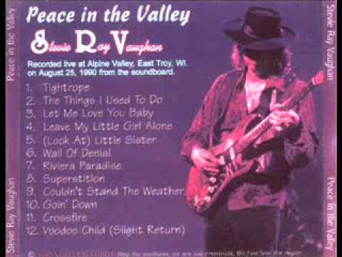 Stevie Ray Vaughan - Couldn't Stand The Weather - Goin' Down (cut) (Alpine Valley 1990)