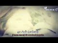 اجمل اغنيه تركيه امان امان مراد وحيات 