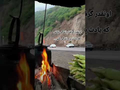 سخنی از دل صدایی از جان معین و ترانه ای برای گذر عمر نبض عشق   