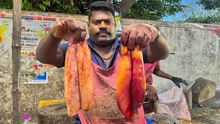 KASIMEDU SPEED SELVAM ❤️🔥😱BIG SIZE COBIA FISH EGG CUTTING VIDEO FISHERMEN ENTERTAINMENT VIDEO