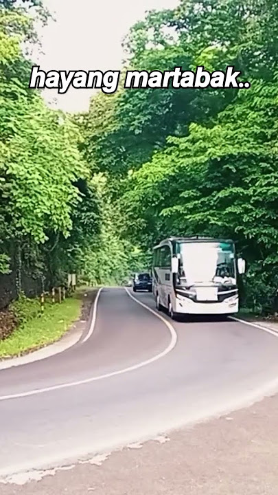 sound hayang martabak Bima trans #basurihorn #basuri