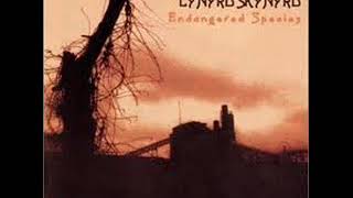 Lynyrd Skynyrd - I Aint The One Acoustic Version