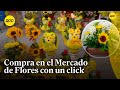 Mercado presenta aplicativo para adquirir flores para el Año Nuevo