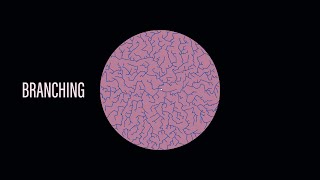 Patterns In Nature - Branching Algorithm