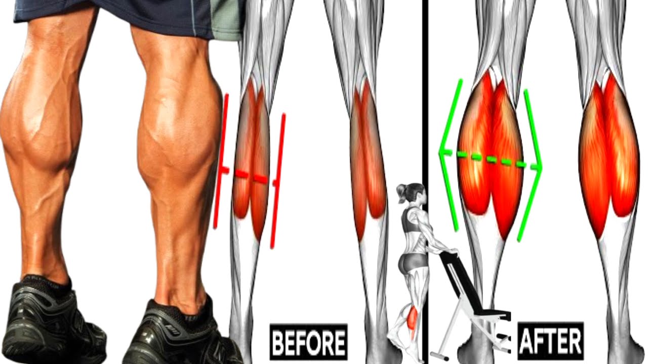 7 Best Calf Exercises to Force Your Calves To Grow || Calf Workout