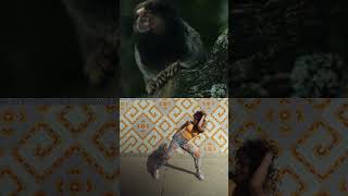 Brazil Night Dance / Rio Step Night / DJ HIKO