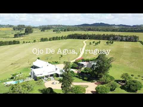 Houses in Ojo de Agua, For Sale