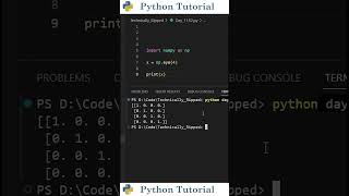 How to Create an Identity Matrix | Python Tutorial