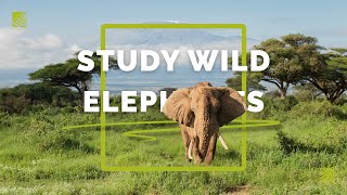 Directed Research In Kenya | Study Abroad with SFS