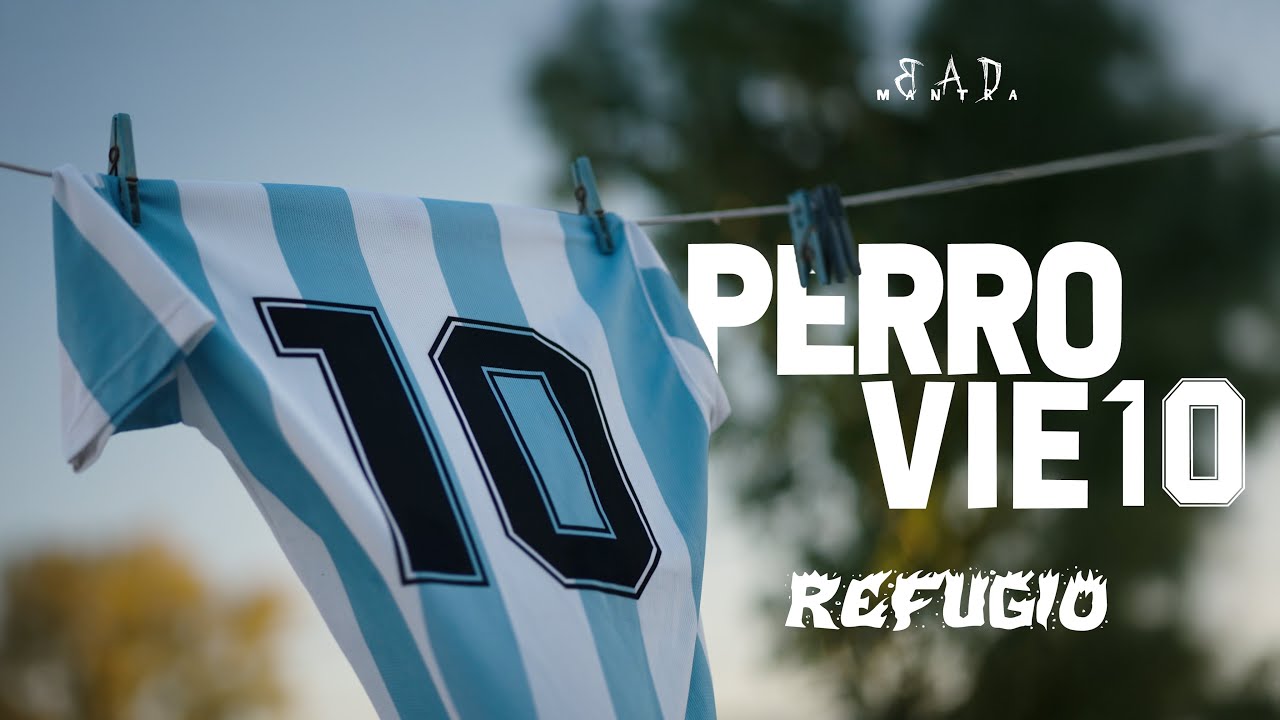 Refugio | Perro viejo 