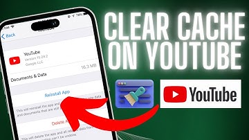 How to Clear YouTube Cache on iPhone | 2024