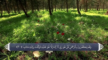 بعثت پیامبر و تأیید رسالتش - آیه 30 سوره رعد