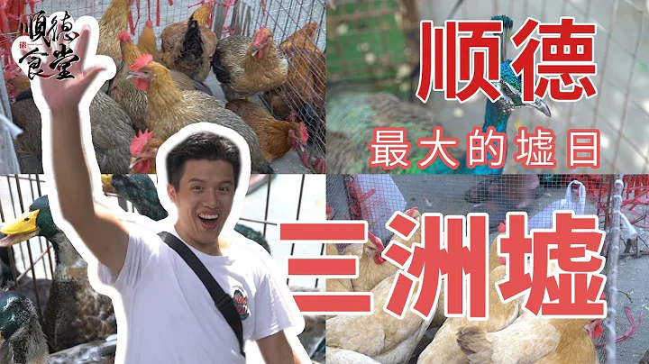 探索#广东·顺德#最大的墟日市场 - 天天要闻