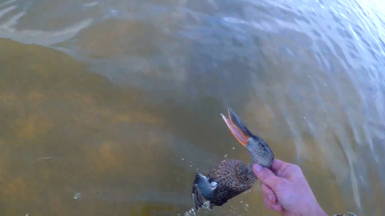 Удачная охота на утку!!!