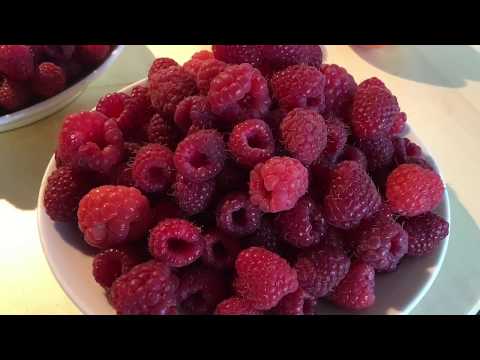 Video: Himbeergelee Ist Eine Köstliche Zubereitung Für Den Winter Aus Beeren. Schritt-für-Schritt-Rezept Mit Foto