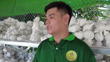 Thú vị nghề làm tượng thạch cao I LONG AN TV