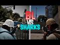 SHARKS vs BLACK LIST | T1ROTEO ARM4S LARGAS vs SMG | DovuXLife