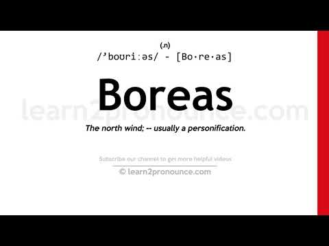 Видео: "Boreas" ба "Husky". Манай шумбагч онгоцны ирээдүйн талаар