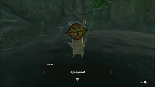 Legend of Zelda Tears of the Kingdom - Korok Dive Ring 0594 -3724 0061 Gameplay Walkthrough