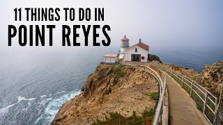 11 Things to do at Point Reyes National Seashore