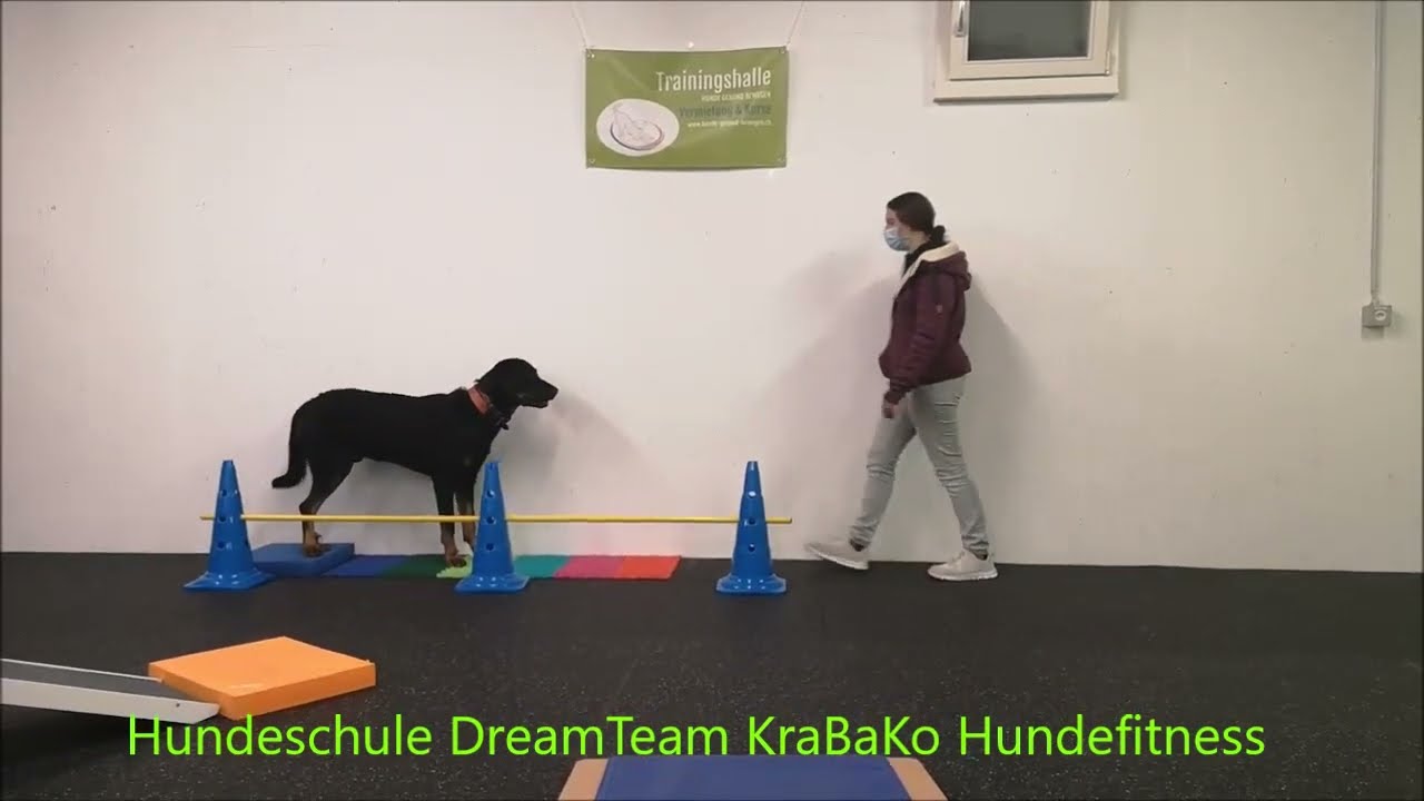 Hundeschule DreamTeam KraBaKo Hundefitness 2021
