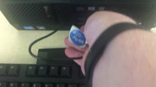 IMG 3987