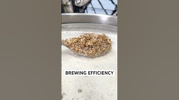 What is Efficiency When Brewing Beer?