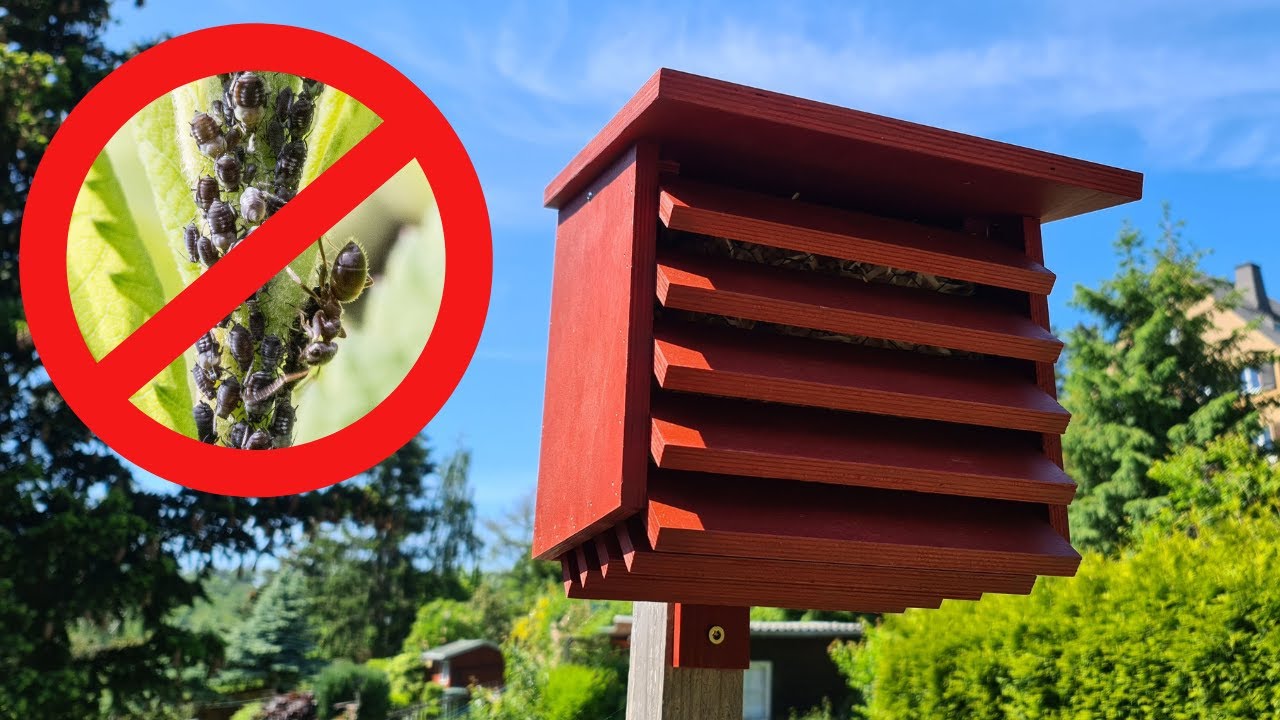 Blattlaus-Befall biologisch regulieren | Florfliegen-Kasten | Insektenhotel
