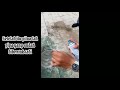 PRAKARYA klmpok 1 Xll IPA 5