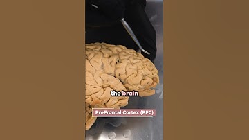 Why Drunk People Make Bad Decisions