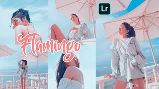 Flamingo Preset Pastel Pink & Blue Tone | Free Lightroom Preset | Lightroom Mobile Editing Tutorial