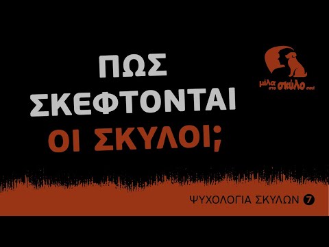 Βίντεο: Αρχάριοι κτηνοτρόφοι σκύλων: 7 βασικοί κανόνες φροντίδας σκύλου