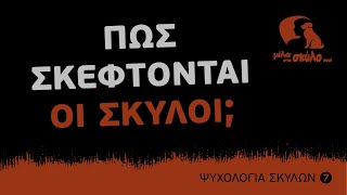 ΨΥΧΟΛΟΓΙΑ ΣΚΥΛΩΝ #7  Πώς σκέφτονται οι σκύλοι;  ΜΙΛΑ ΣΤΟ ΣΚΥΛΟ ΣΟΥ