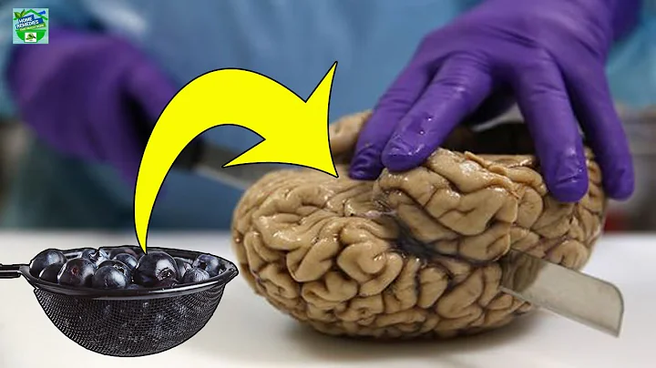 You Can Grow New Brain Cells, Regardless of Age...Here’s How ?