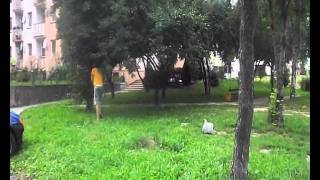 3run.  First Vid