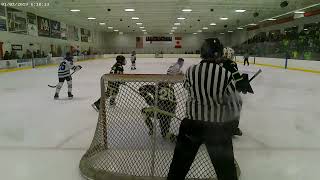 AHAI State Championship Series Game 3 3/4/25