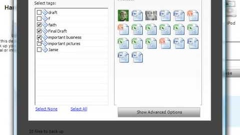 Memeo® Premium Backup  -  Backup files by tag name to make things easier