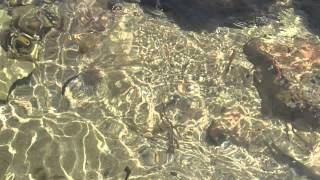 MOV 0599