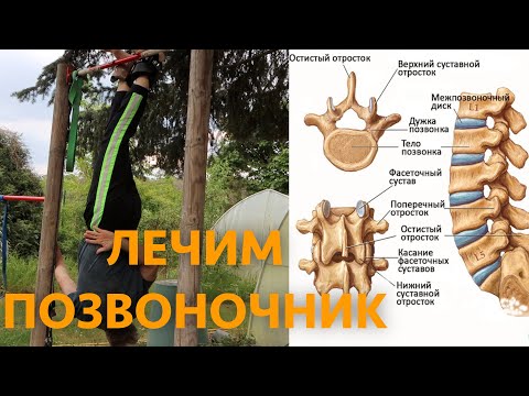 лечим спину висом вниз головой