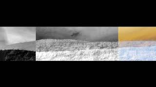 Tamsaulė Ir Donatas Bielkauskas Kai Surandama