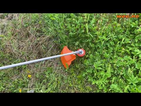 Video: Mini Grass Trimmers: Typer Av Små Håndholdte Plenstrimmere. Velge En Kompakt Gresstrimmer For Under Busker