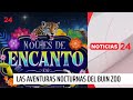 Vuelven las aventuras nocturnas al Buin Zoo: parque se podrá recorrer hasta medianoche | 24 Horas