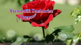 Toygar - Bırak sende kaybolayım - Me lere te perhumbem me ty - Albania Lyrics