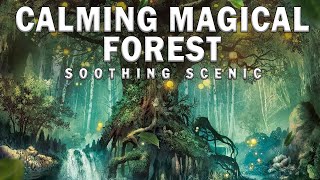 Forest Music, Fantasy, Relaxing Magical &amp; Calming Music | SOOTHING SCENIC